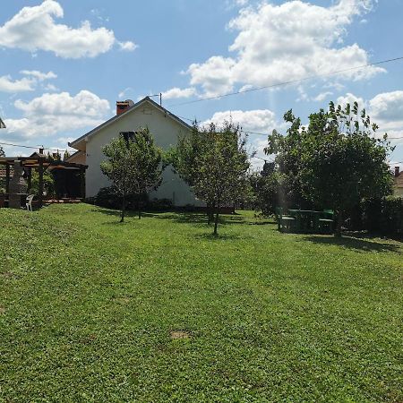 Big Borak Villa Veliki Borak Buitenkant foto