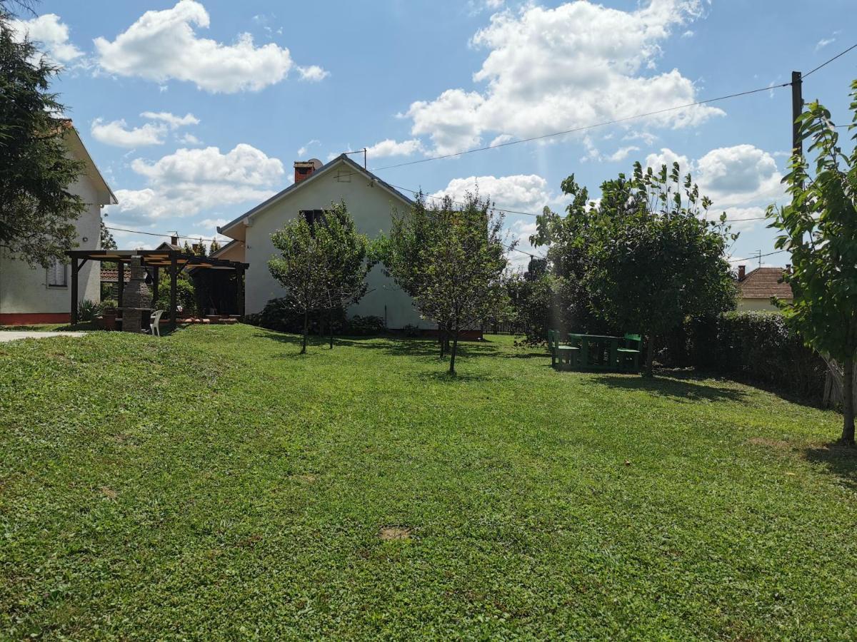 Big Borak Villa Veliki Borak Buitenkant foto