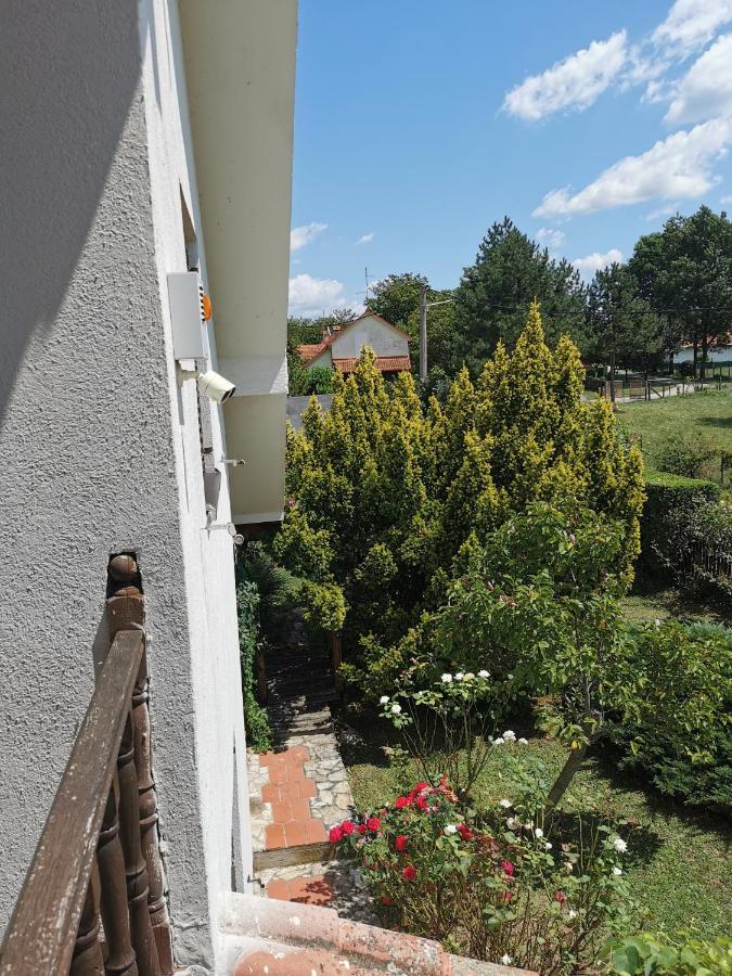 Big Borak Villa Veliki Borak Buitenkant foto