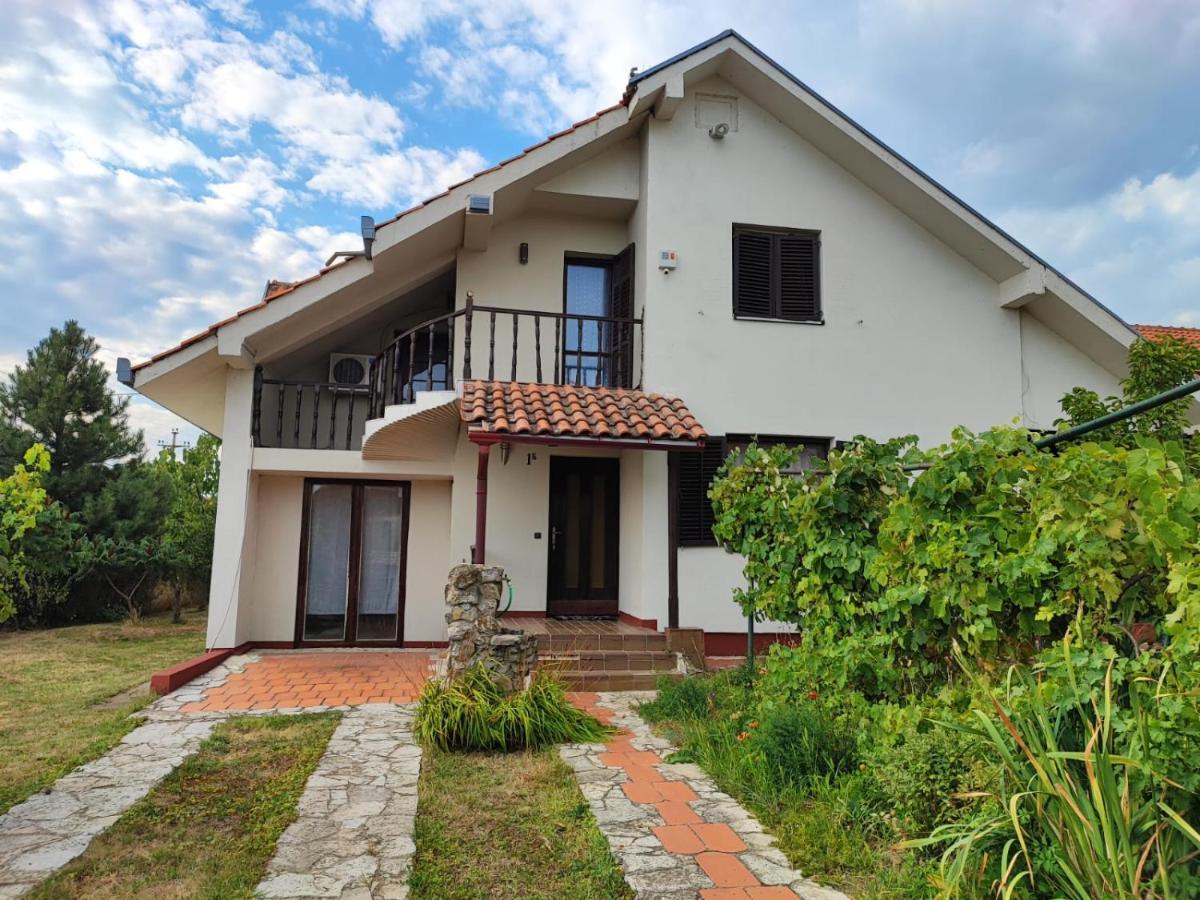Big Borak Villa Veliki Borak Buitenkant foto